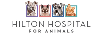 Hilton Hospital for Animals